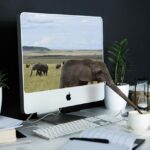 Writing Smarter: How AI Tools are Redefining the Way We Approach Content Creation and Communication