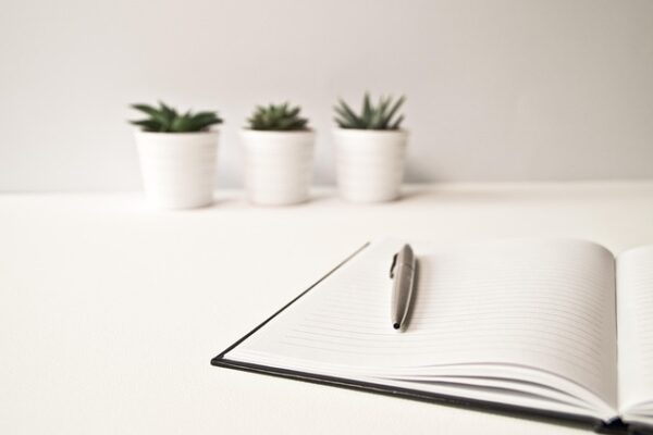 Navigating the Intersection of Writing and AI: Techniques for a New Era of Content Development